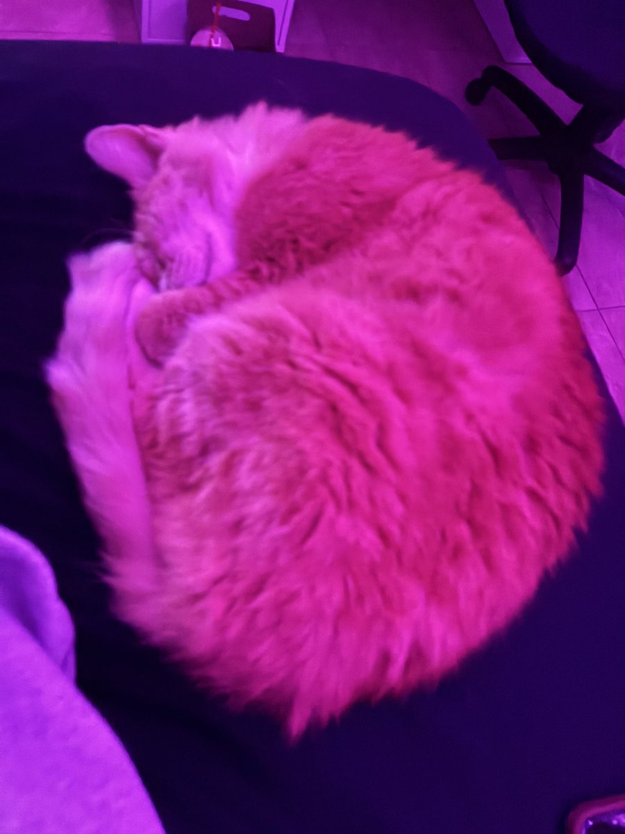 the goat of sometime tweet media