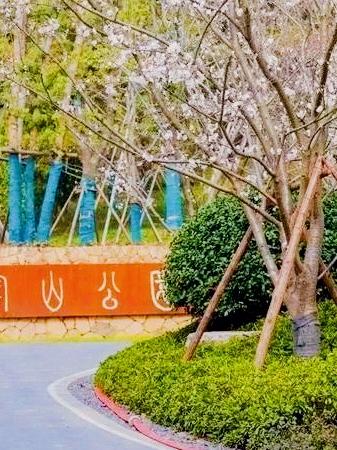 Edward Zilberman tweet media