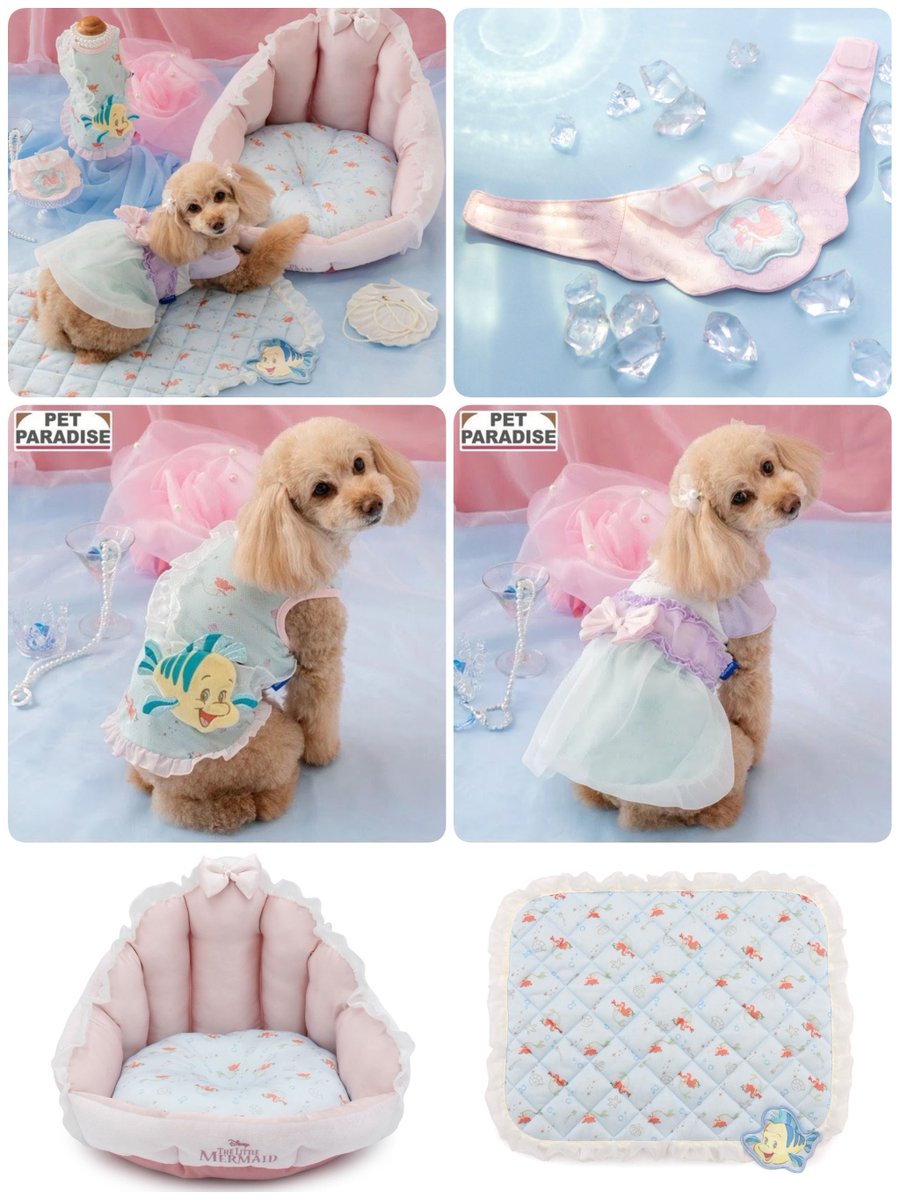 tdr_415's tweet image. ━━━━━━━━━━━━
#クリエイティブヨーコ
「リトル・マーメイド」
✎𓂃新発売

リトル・マーメイドの世界観をイメージしたペット用品が登場⊹˚.
アリエルやセバスチャン、フランダーたちの可愛いデザインで、お出かけやおうち時間が楽しくなるアイテム🫧

shop.creativeyoko.co.jp/news/multi_new…
#Disney