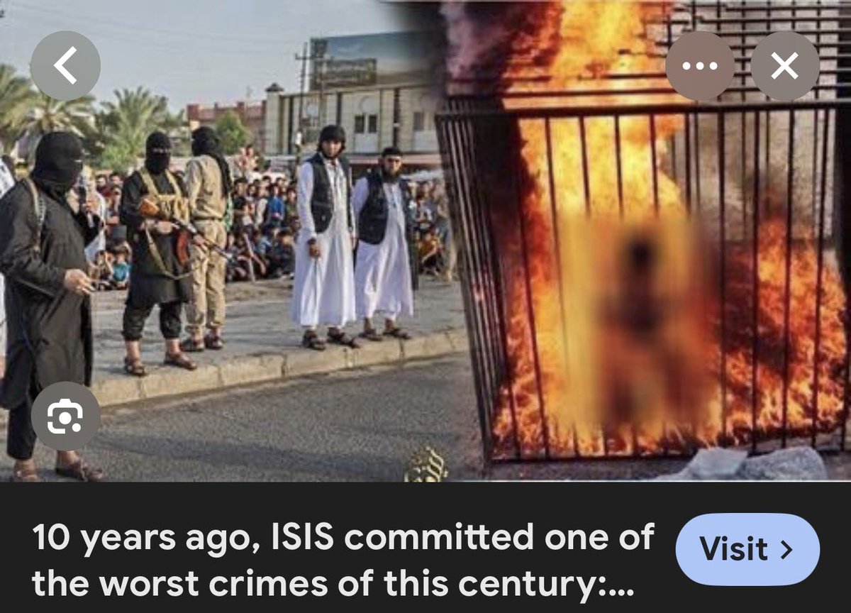 edzoB 🌱 tweet media