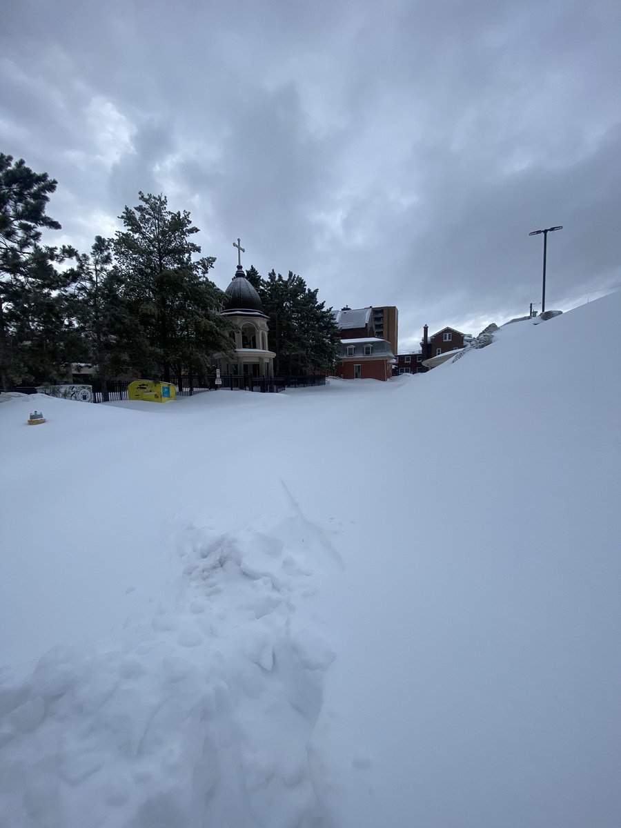1kaDojo's tweet photo. Spring eh? https://t.co/jCwsaEoB7r
