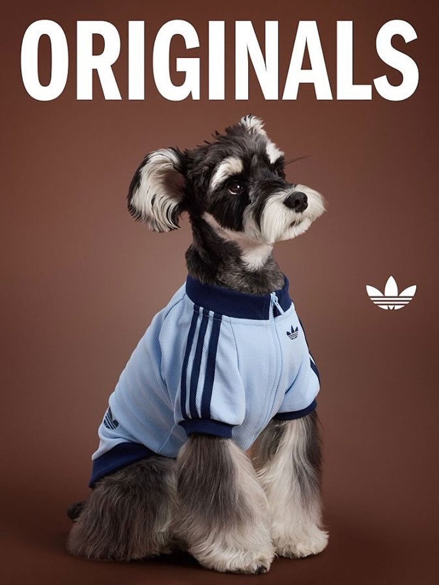 Fullress tweet media