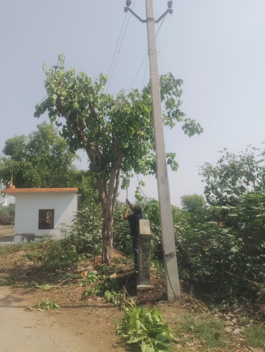 dvvnletawah01's tweet image. इटावा  के उपकेन्द्र ताखा के अंतर्गत विद्युत लाइनों की सुरक्षा हेतु पेड़ों की छंटाई/कटिंग का कार्य किया गया। इस कार्य से संभावित फॉल्ट/ब्रेकडाउन की रोकथाम कर निर्बाध विद्युत आपूर्ति सुनिश्चित की जा रही है। @dvvnlhq @UPPCLLKO @MDDVVNL #Etawah #TreeCutting #PowerSupply