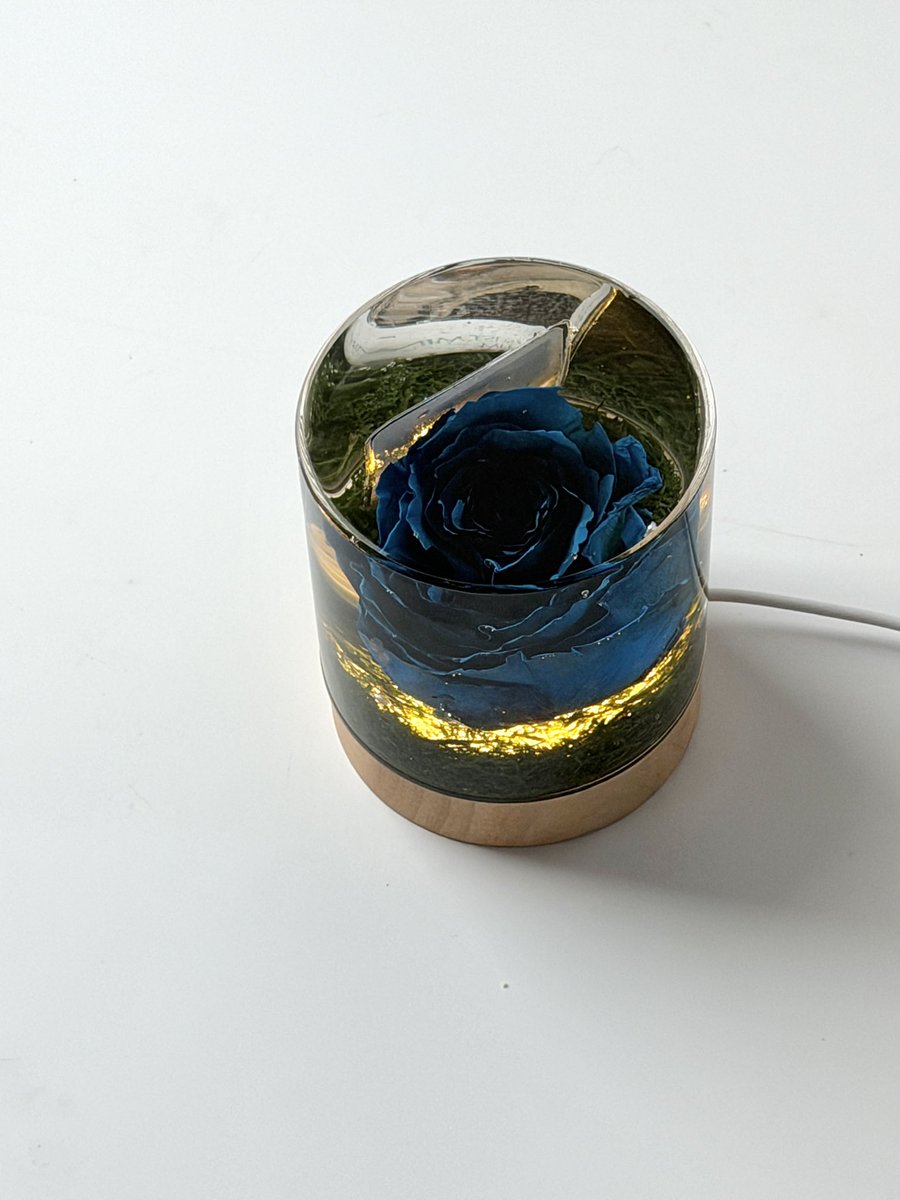 차차🎮🍊 tweet media