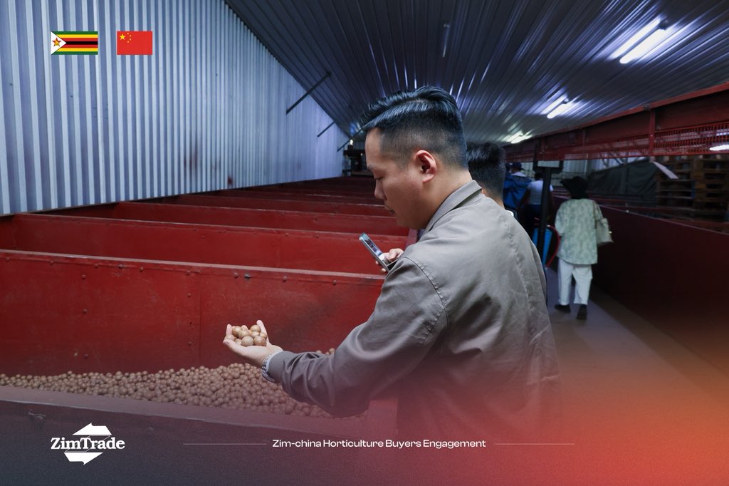 ZimTrade tweet media