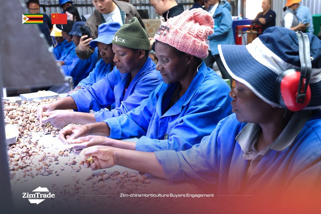 ZimTrade tweet media