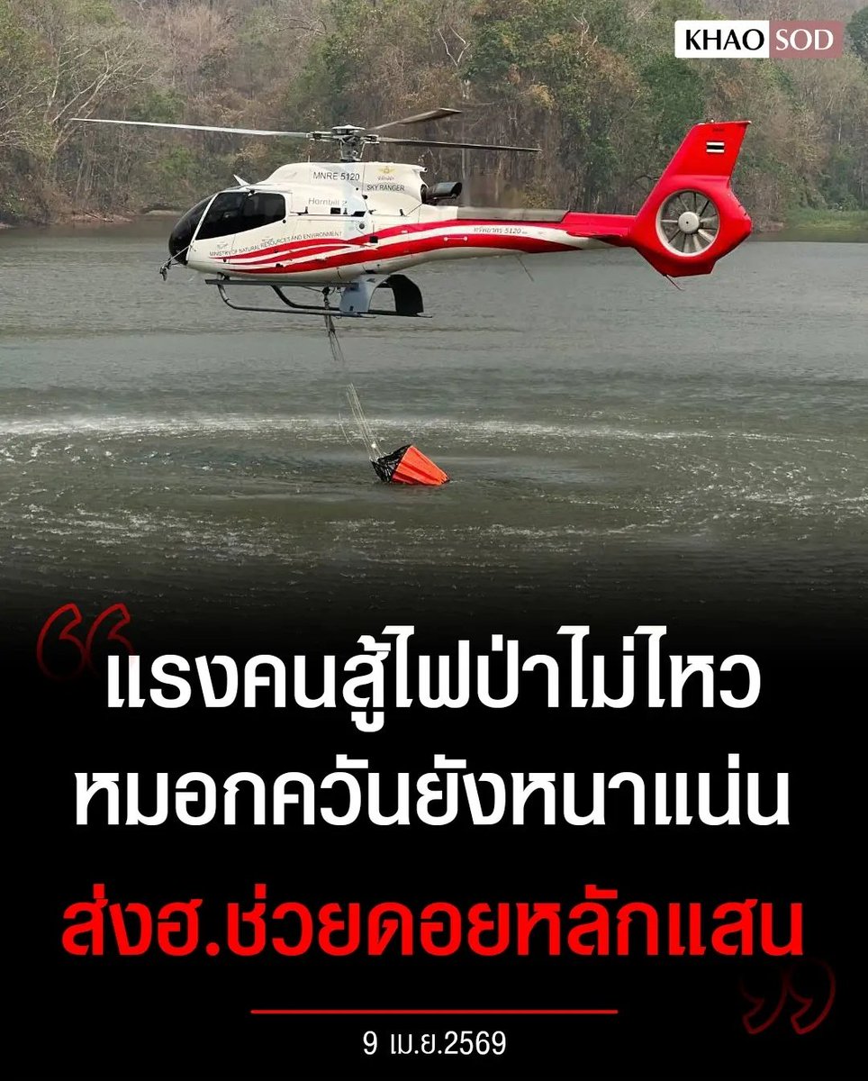 Tarot to youuuu tweet media