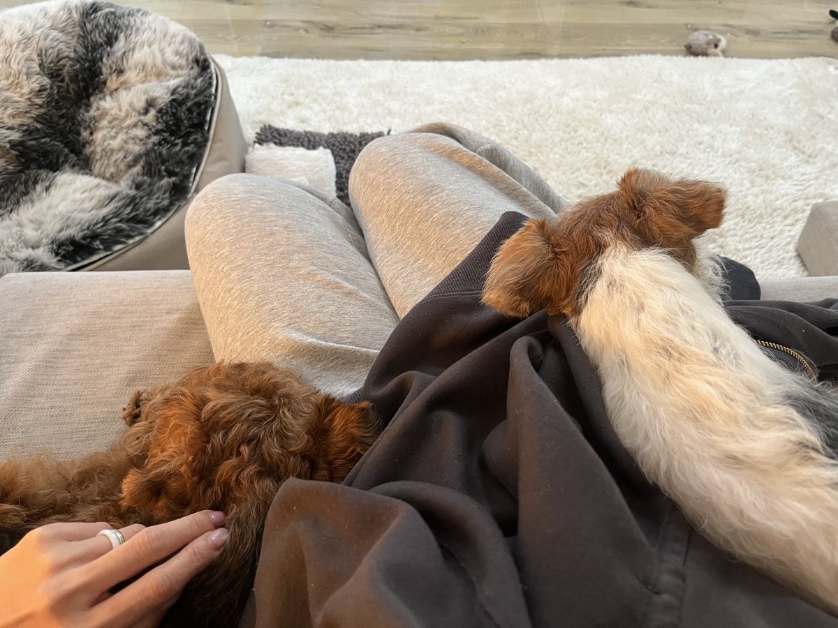 いぬたち🥹

ごめんね
ママはご用があって出かけなくちゃならんのよ