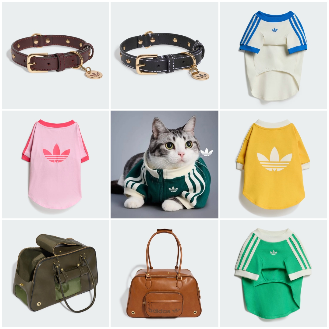 Fullress tweet media