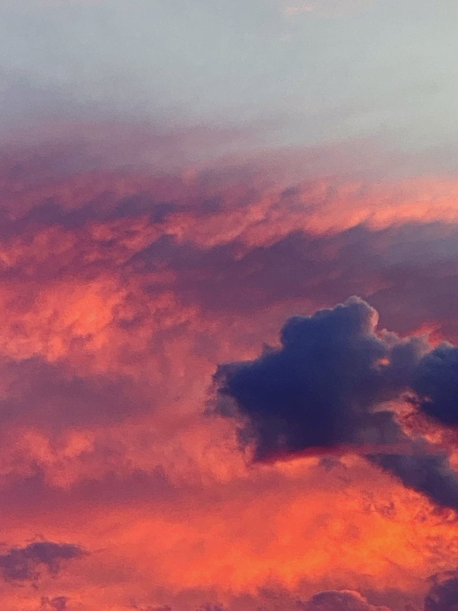 Halcyon【IRIAM US】 tweet media