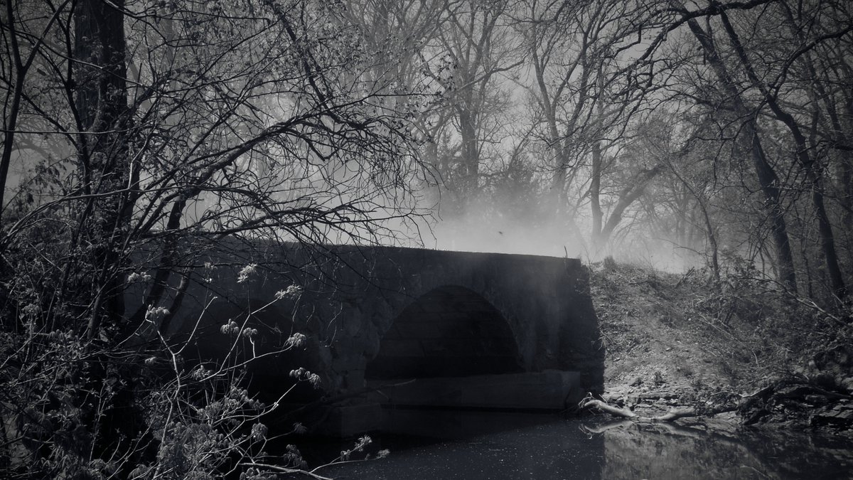 L. Spiro tweet media