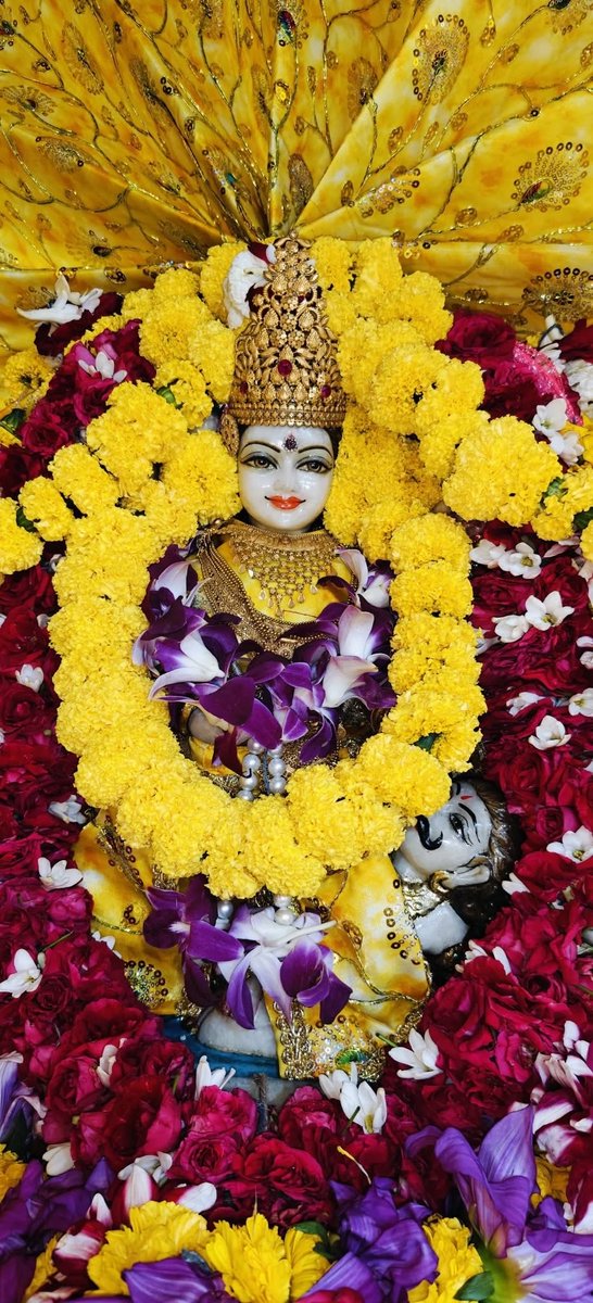 जब जीवन में बाधाएँ बढ़ जाएँ,
जब विरोधी ताकतें परेशान करें,
तब श्रद्धा से माँ बगलामुखी जी का स्मरण करें।
माँ हर संकट को हर लेती हैं और साहस प्रदान करती हैं।