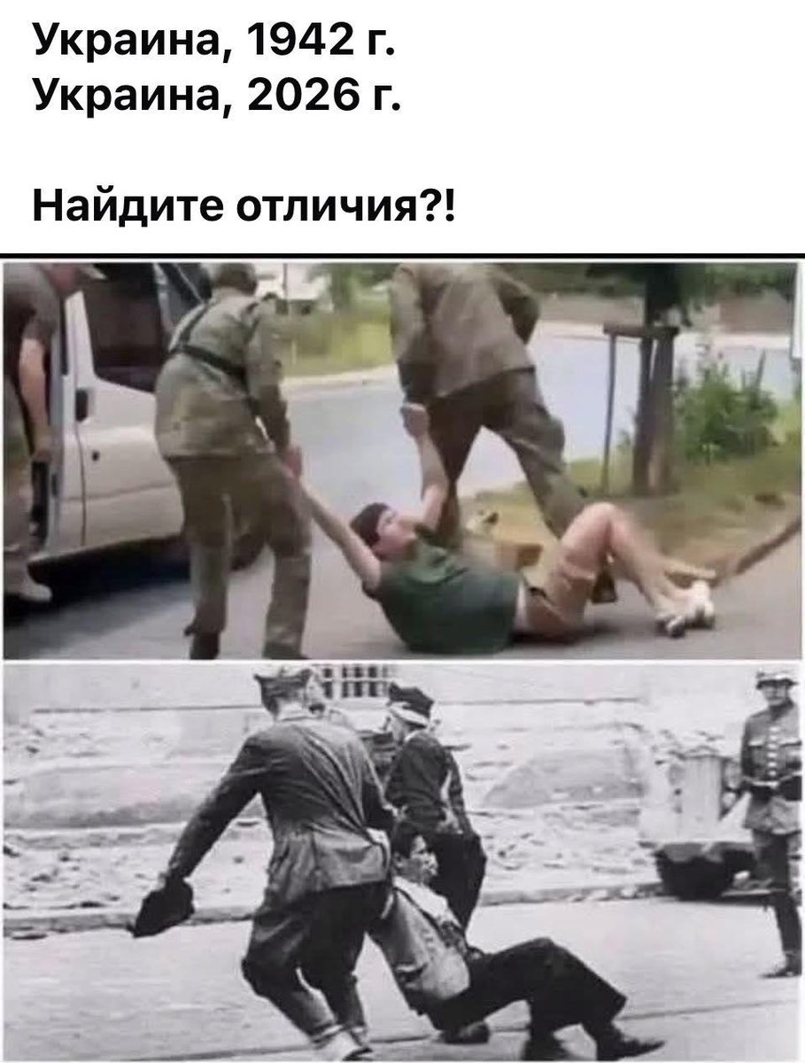 Наташа Иванова tweet media