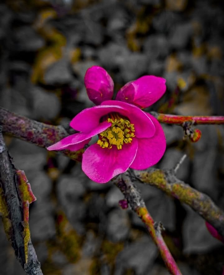 Hayırlı Sabahlar 

      Cumamız Mübarek Olsun..

          🥀🍂🍁🦋🌺🍮