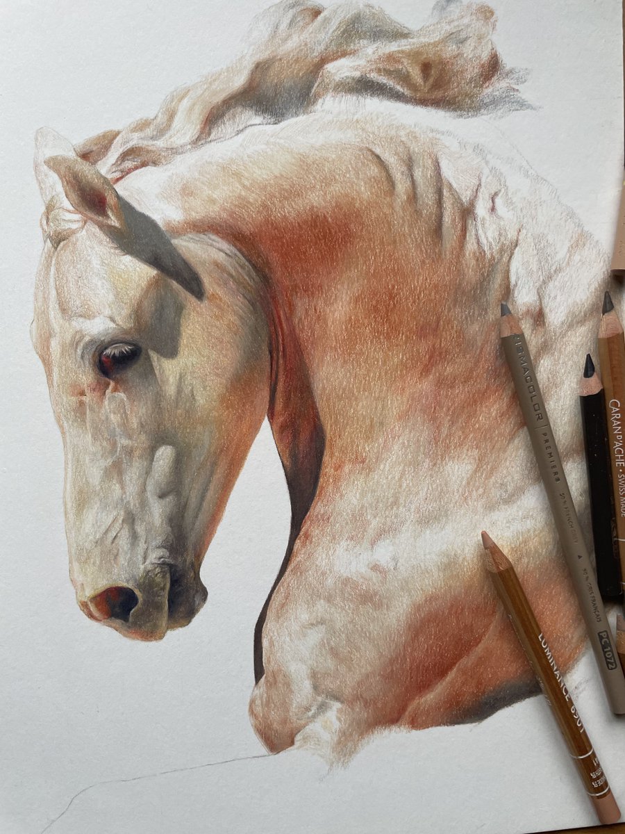 カフカ tweet media