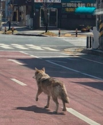 벽댕이 tweet media