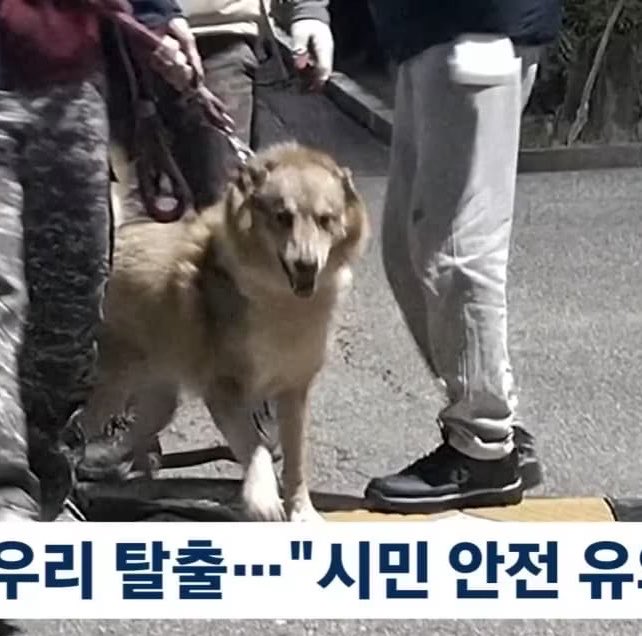 벽댕이 tweet media