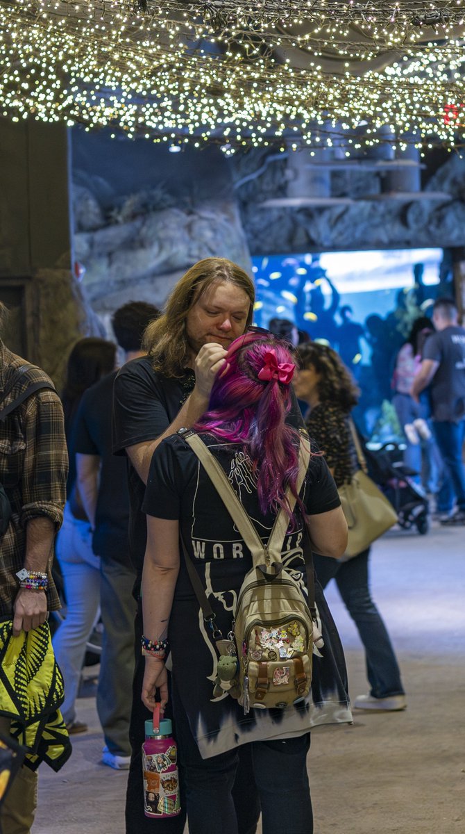 Panoramic (Ash) tweet media