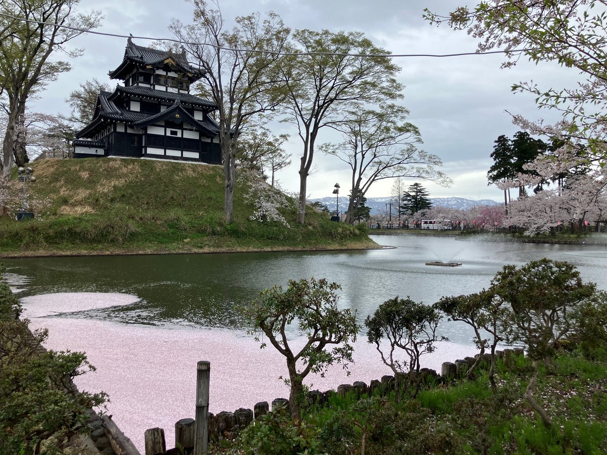 上越妙高タウン情報 tweet media