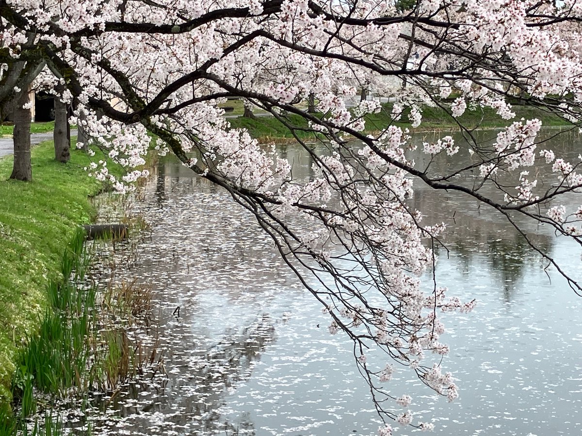 上越妙高タウン情報 tweet media