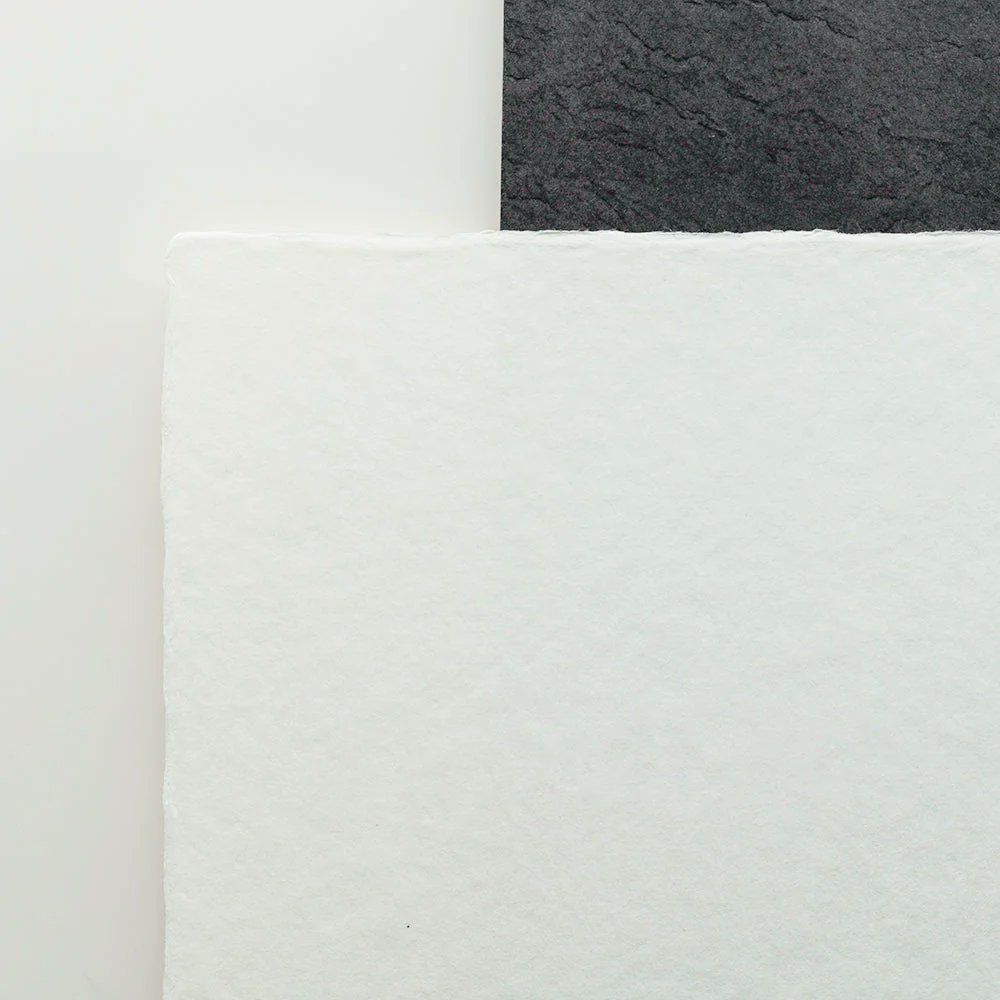 アワガミファクトリー【公式】 tweet media