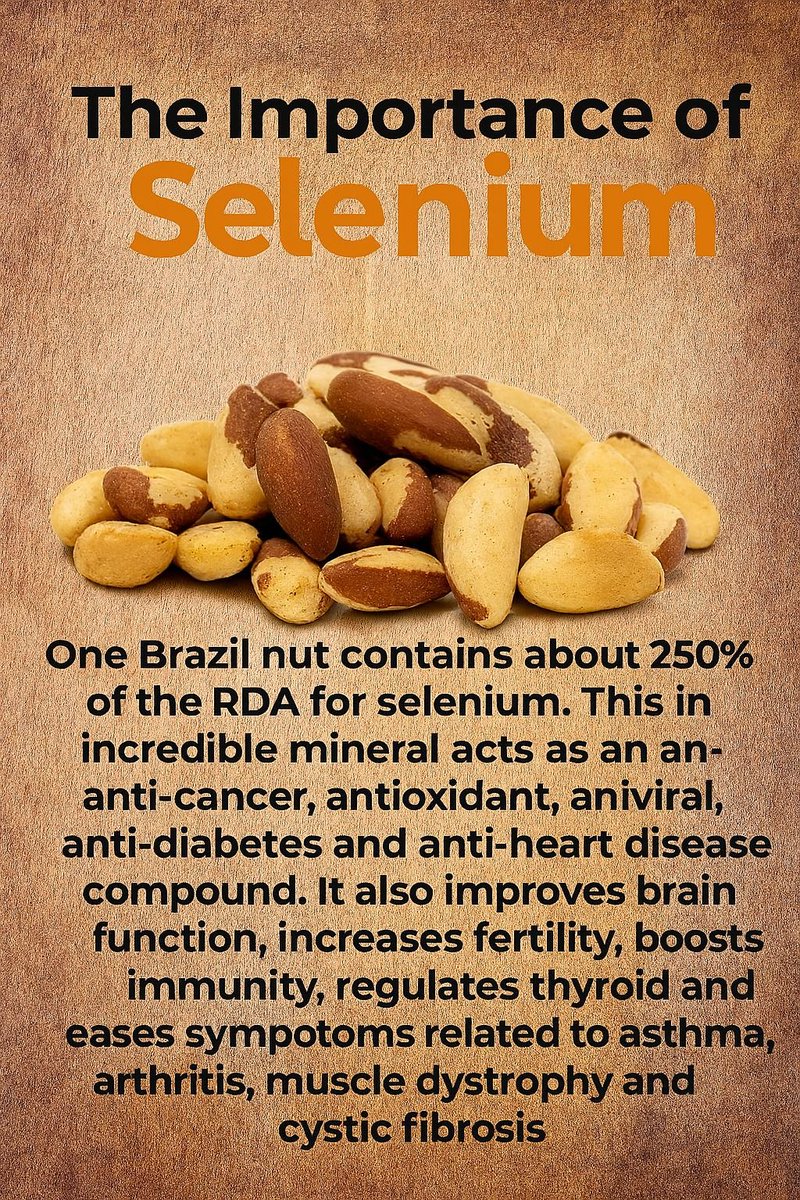 themedplan's tweet image. Just one Brazil nut provides powerful nutrition facts—packed with selenium to reduce inflammation, support brain and heart health, regulate thyroid symptoms, and boost fertility. 🥜 #Selenium #Nuts