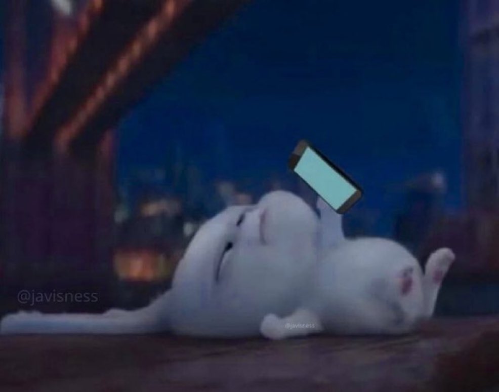 Yo viendo tiktok esperando que me de sueño