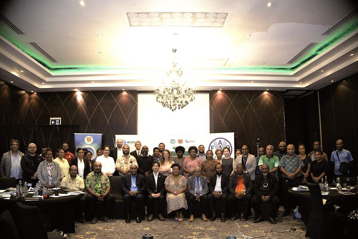 FAO Papua New Guinea tweet media
