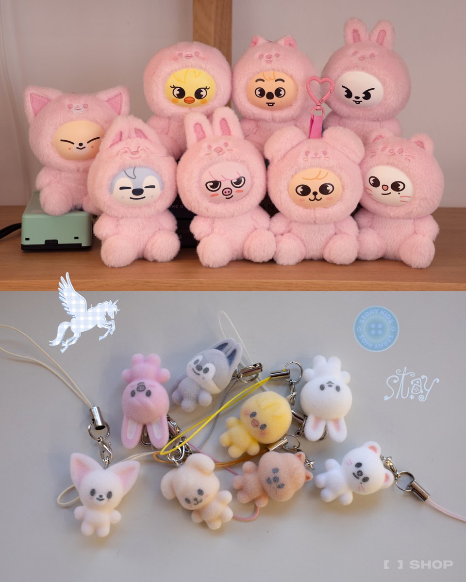 FANS SHOP OFFICIAL tweet media