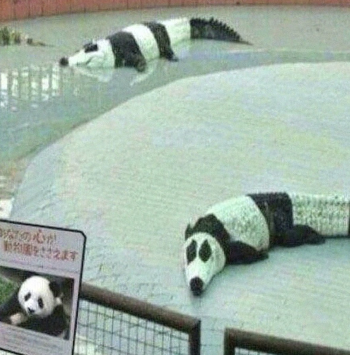 Respectful Memes tweet media