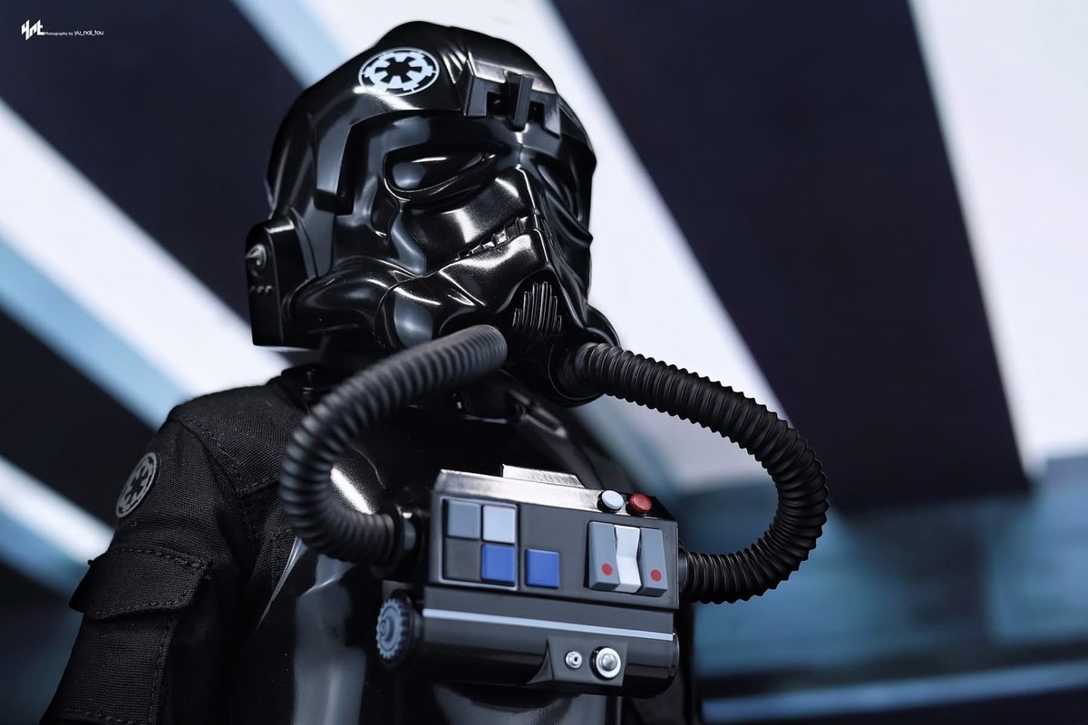 Sixth Scale Update tweet media