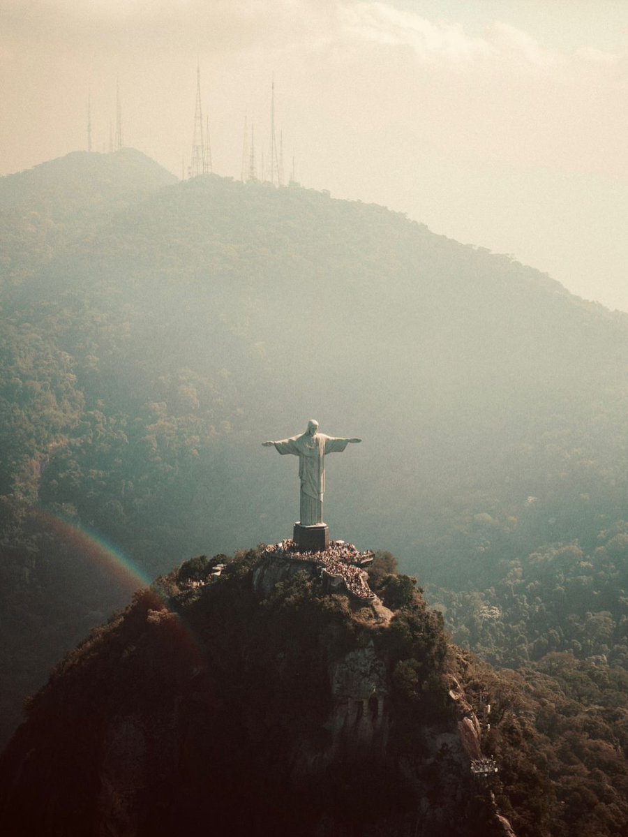 Wildscape Wonders tweet media