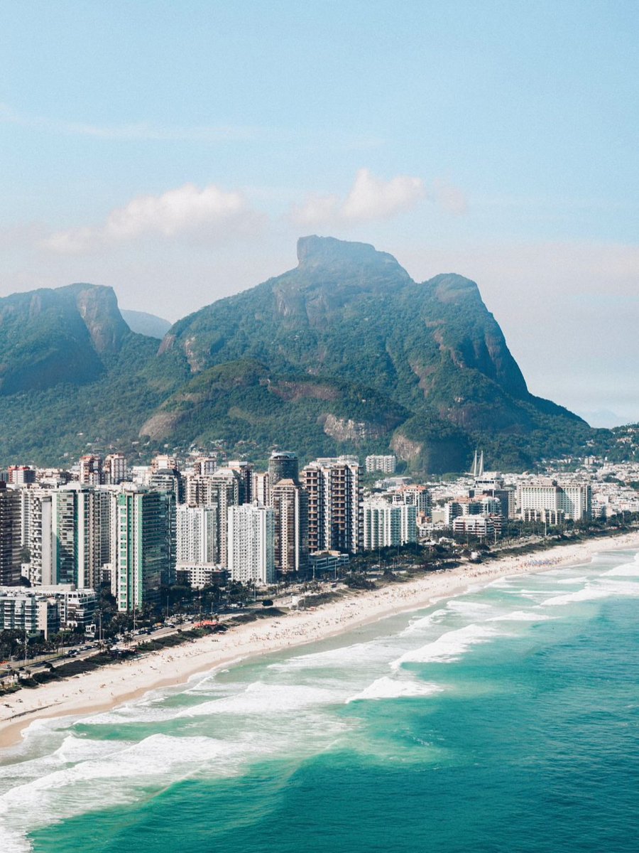 Wildscape Wonders tweet media