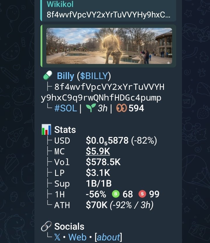 WikiKoL🎯📈 tweet media