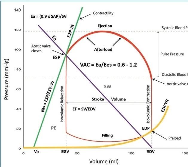 RECAT👩🏽‍⚕️🏥👨🏽‍⚕️🇲🇽🫀 tweet media