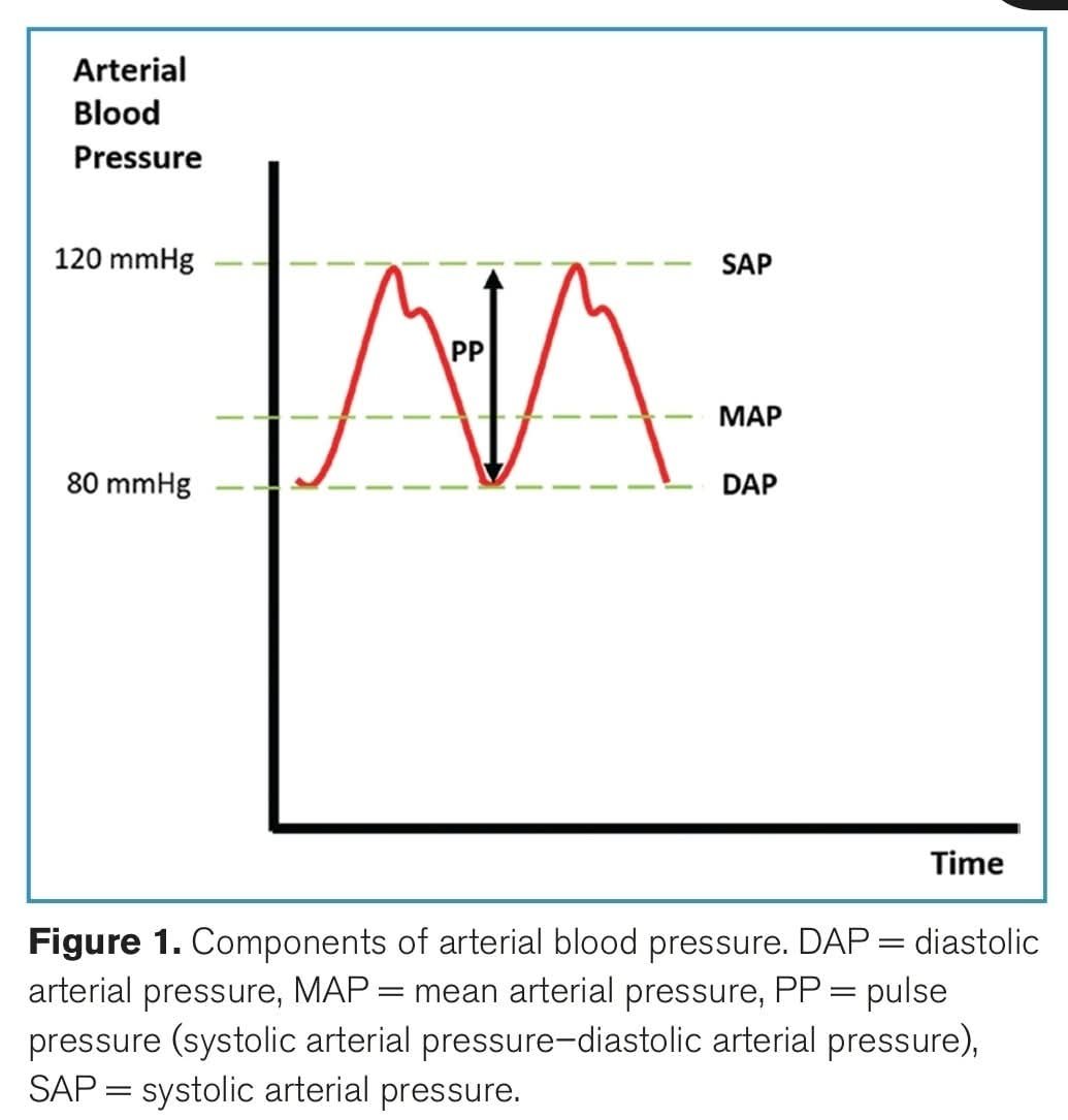 RECAT👩🏽‍⚕️🏥👨🏽‍⚕️🇲🇽🫀 tweet media