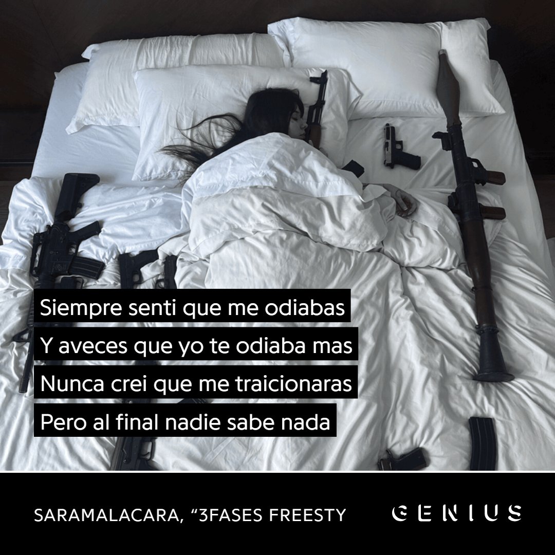 🗡alice 🇨🇱 tweet media