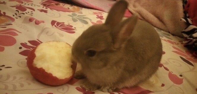 richard ( ˶ °ㅁ°) tweet media