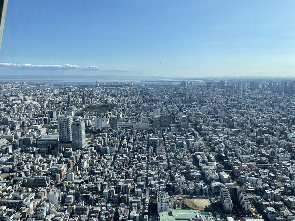 紫电清霜 tweet media