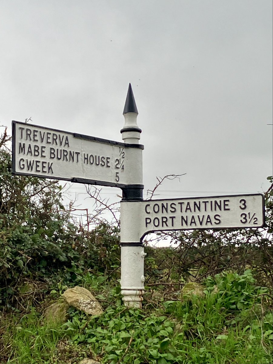 Octotulip tweet media