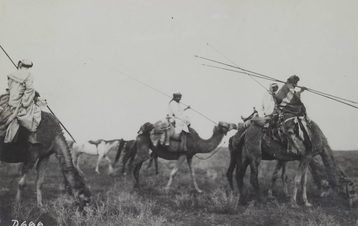 خليل بن سعود tweet media