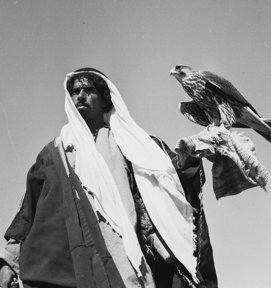 خليل بن سعود tweet media