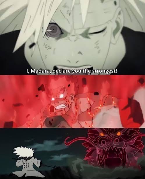 northeastern bullworm tweet media