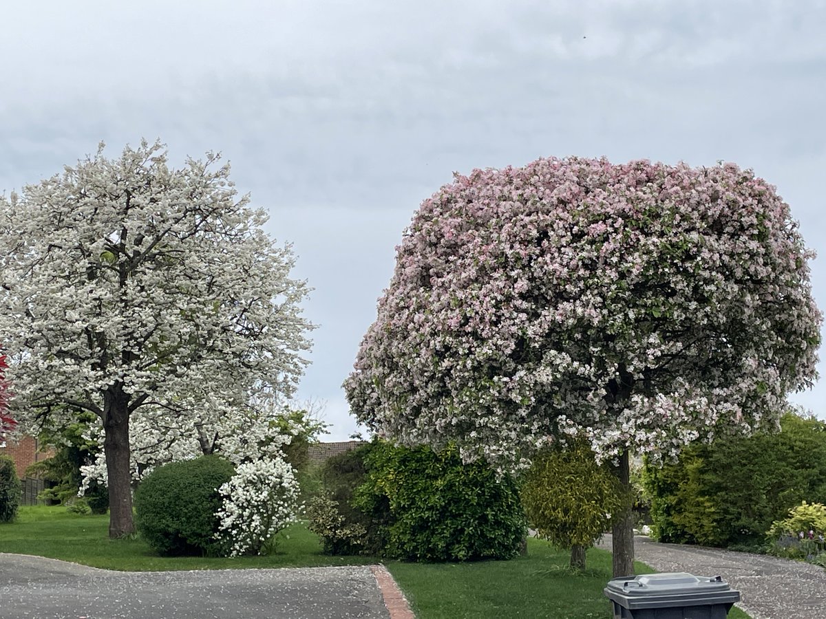 Liz Lloyd tweet media