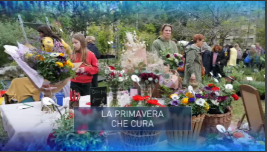 TgrMediterraneo's tweet photo. LA PRIMAVERA CHE CURA #LuciaBasso

Da quattro secoli a #Montpellier, nei #JardinesDePlantes, fiorisce l’albero di Giuda. E’ il più antico giardino botanico di #Francia al servizio di una delle prime facoltà di medicina europee

https://t.co/hQZKT8Jpzd

@TgrRai @RaiNews https://t.co/hdqolZMktT