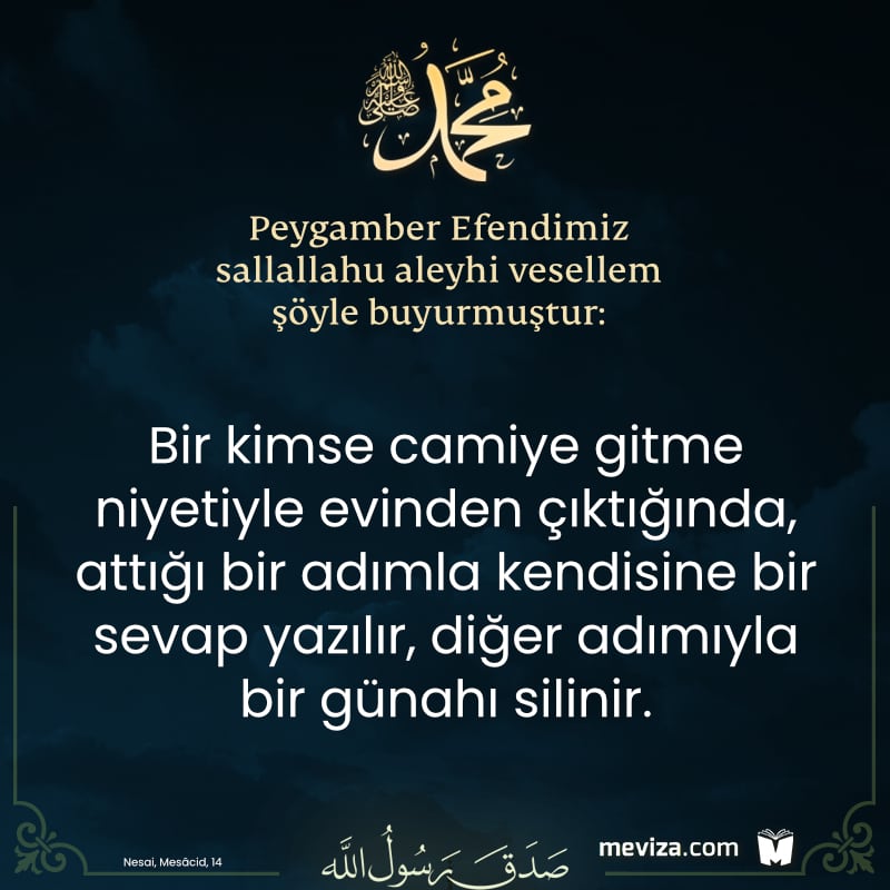 Meviza tweet media