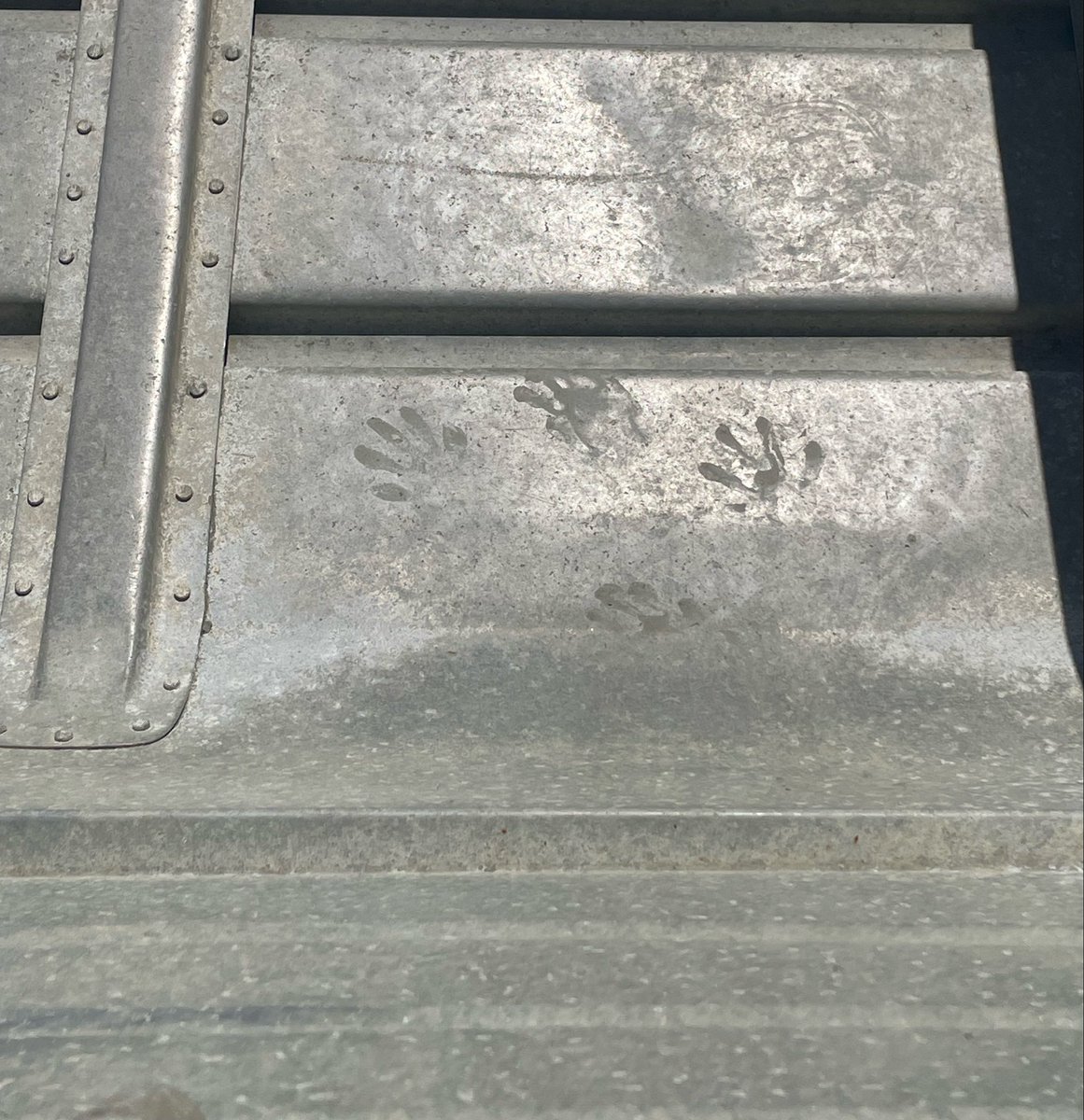 Eleanor 🐇🪐🧺🦔 tweet media