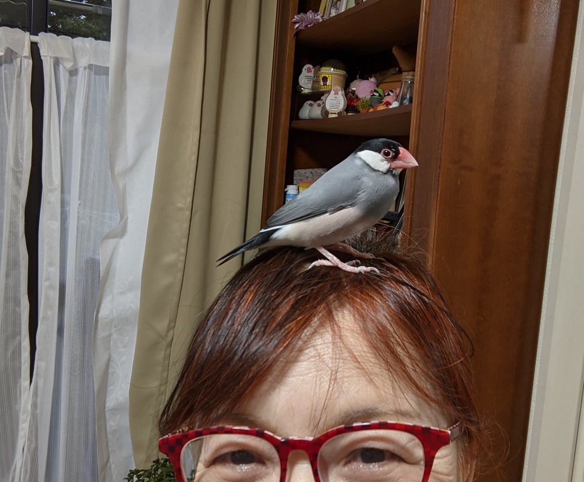 べべたんはオットット🌈虹の橋🐥💕 tweet media