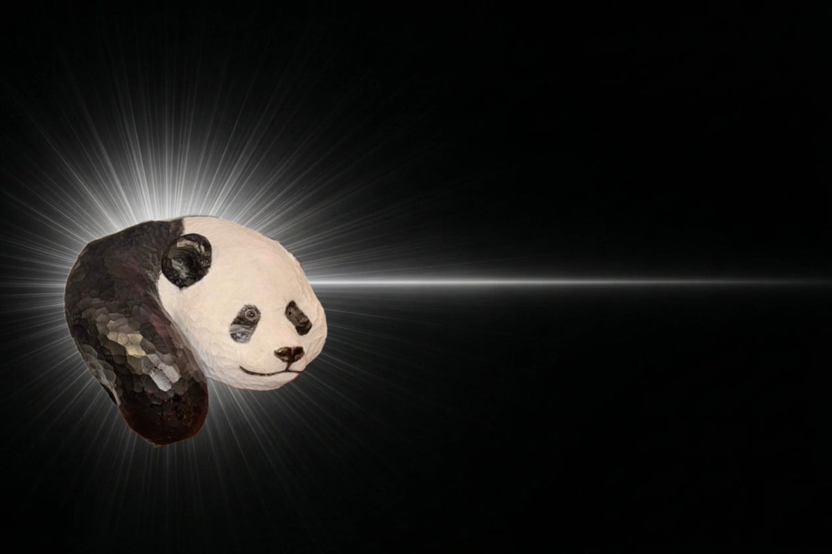 🆕めぐね🐹🌱 tweet media