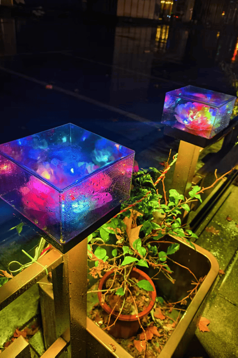 Sheila Long tweet media